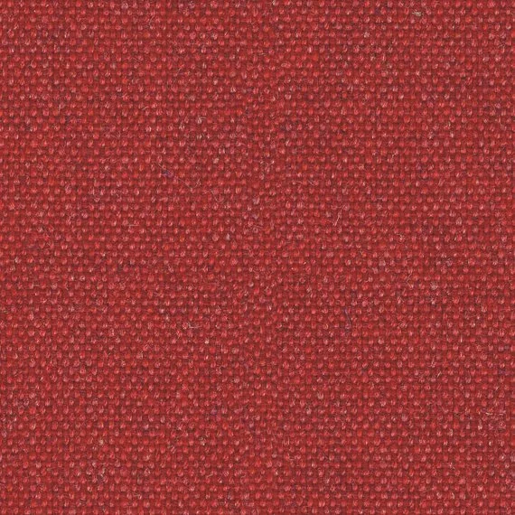 7981