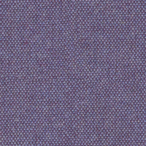 8003