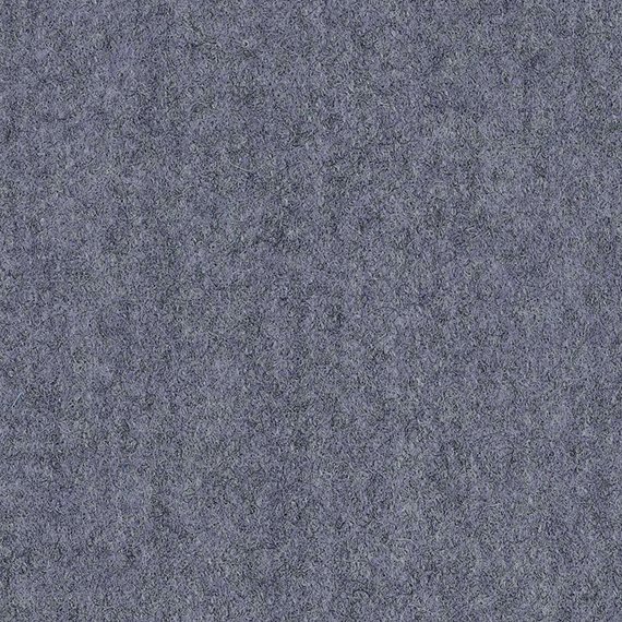 8101