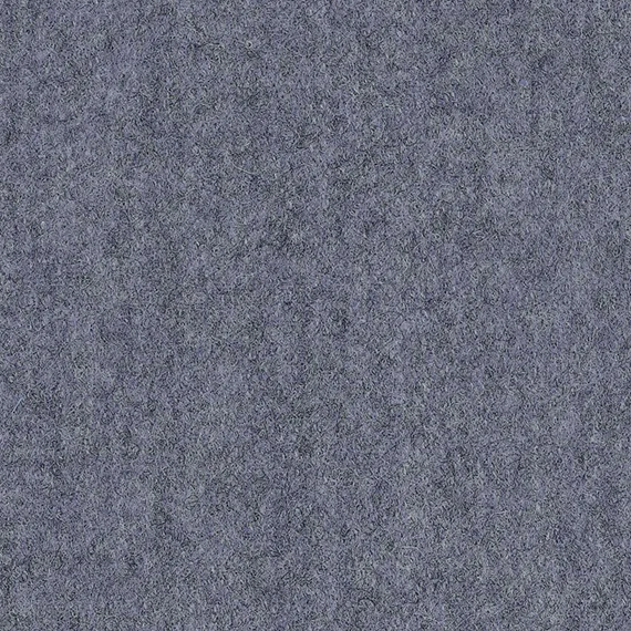 8101