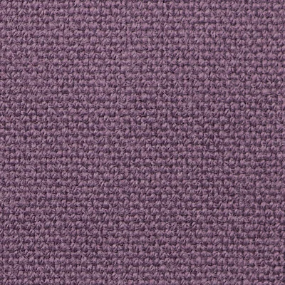 8009