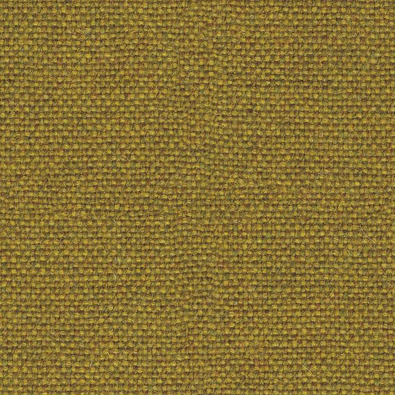 8017