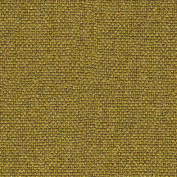 8017