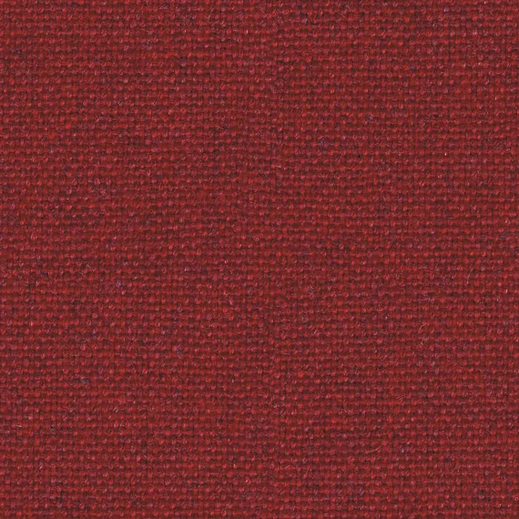 8025
