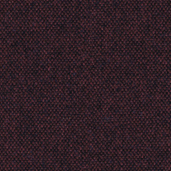 8037