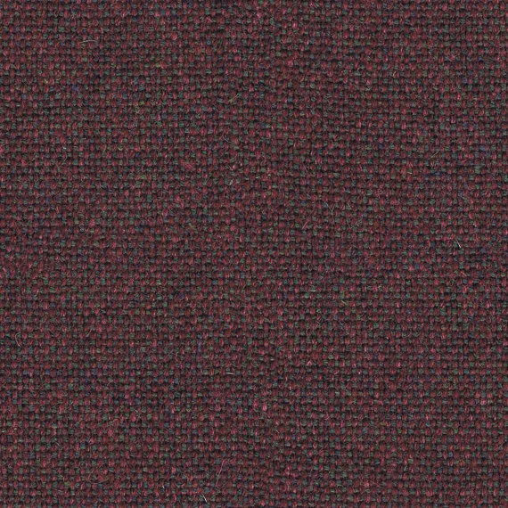 8038