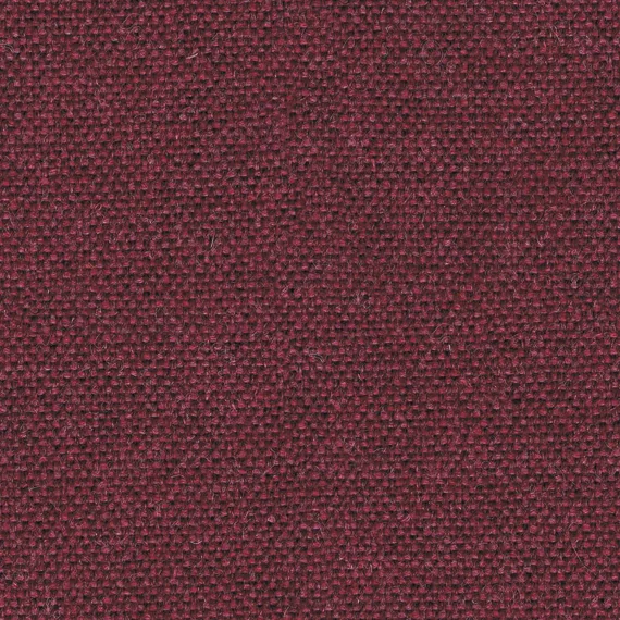 8065