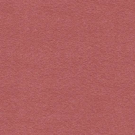 9049