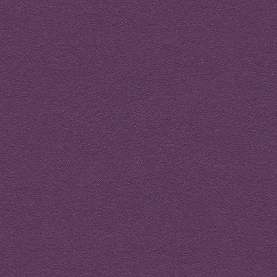 9080